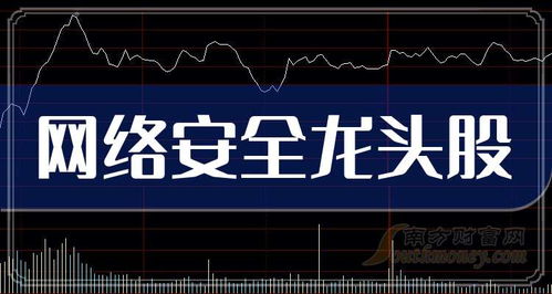 網(wǎng)絡(luò)安全龍頭企業(yè)及龍頭股前五解析